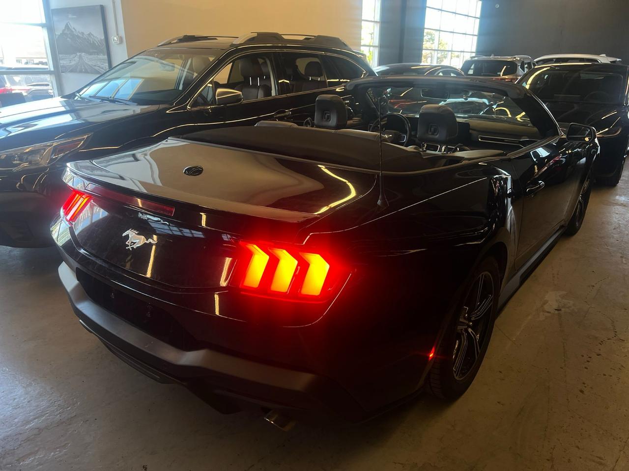2025 Ford Mustang EcoBoost Premium | CLEAN CAR | CLEAN TITLE | Photo3