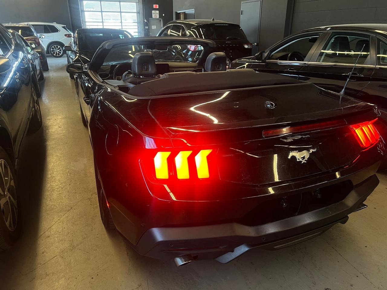 2025 Ford Mustang EcoBoost Premium | CLEAN CAR | CLEAN TITLE | Photo4