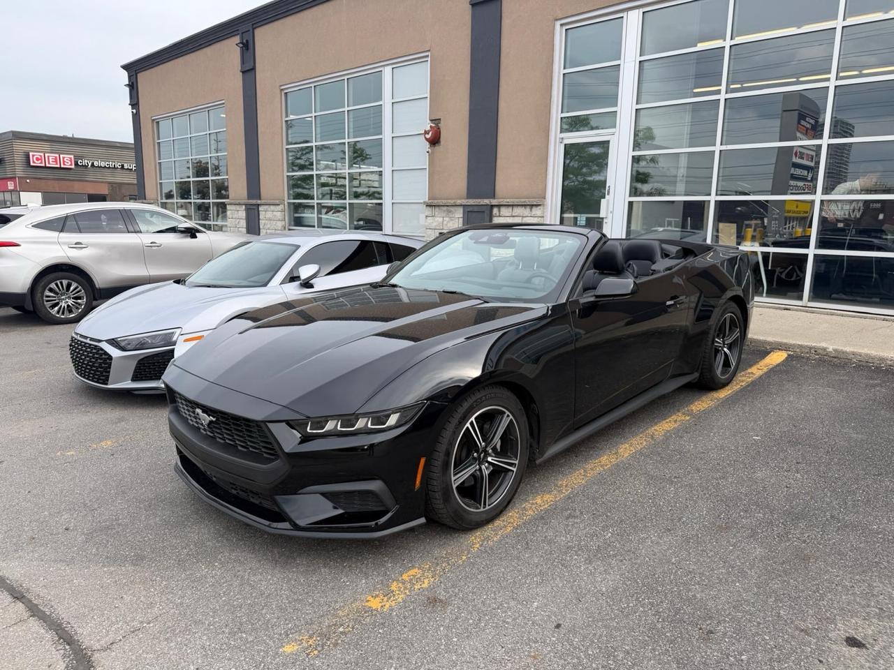2025 Ford Mustang EcoBoost Premium | CLEAN CAR | CLEAN TITLE | - Photo #1
