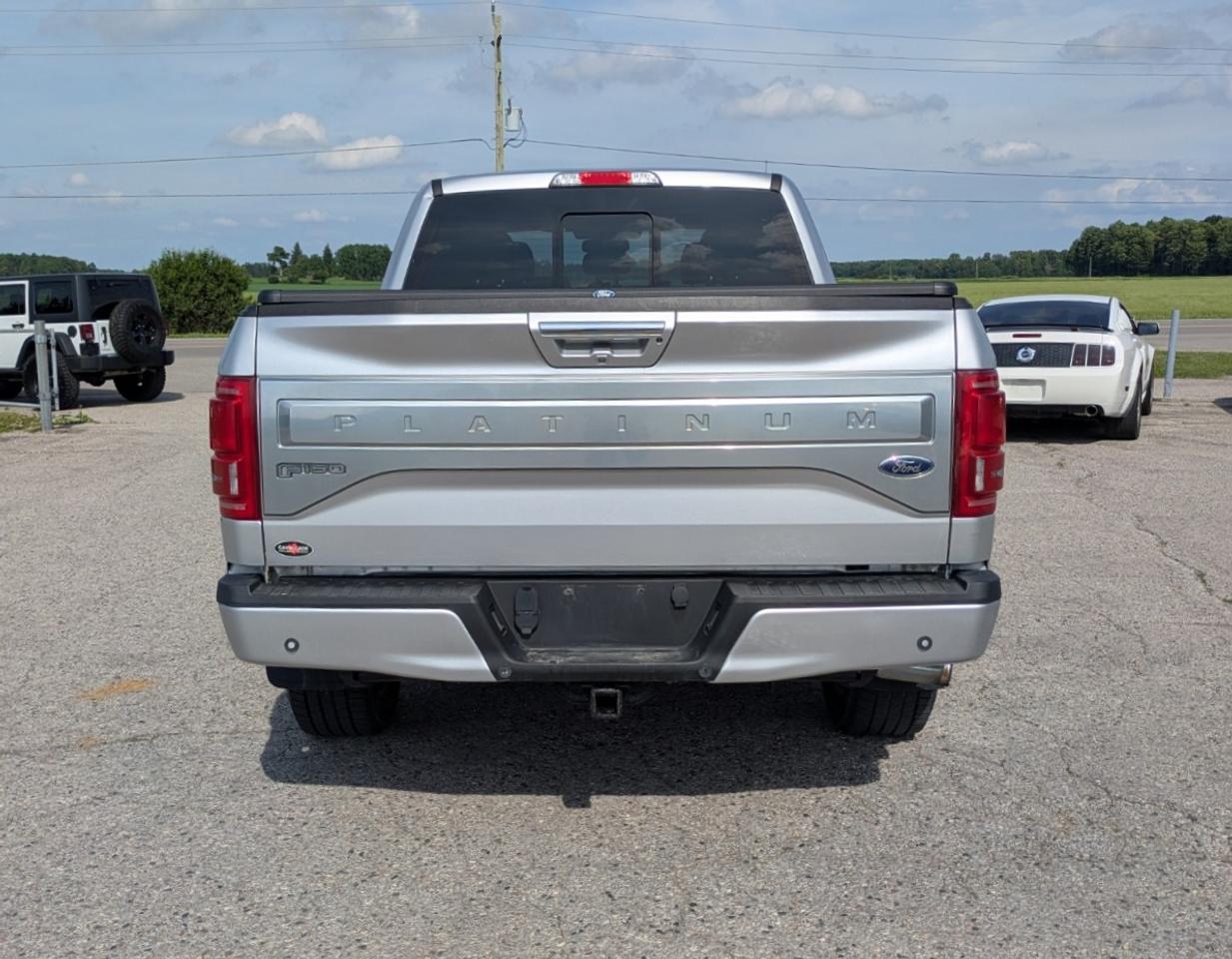 2015 Ford F-150 Platinum Photo