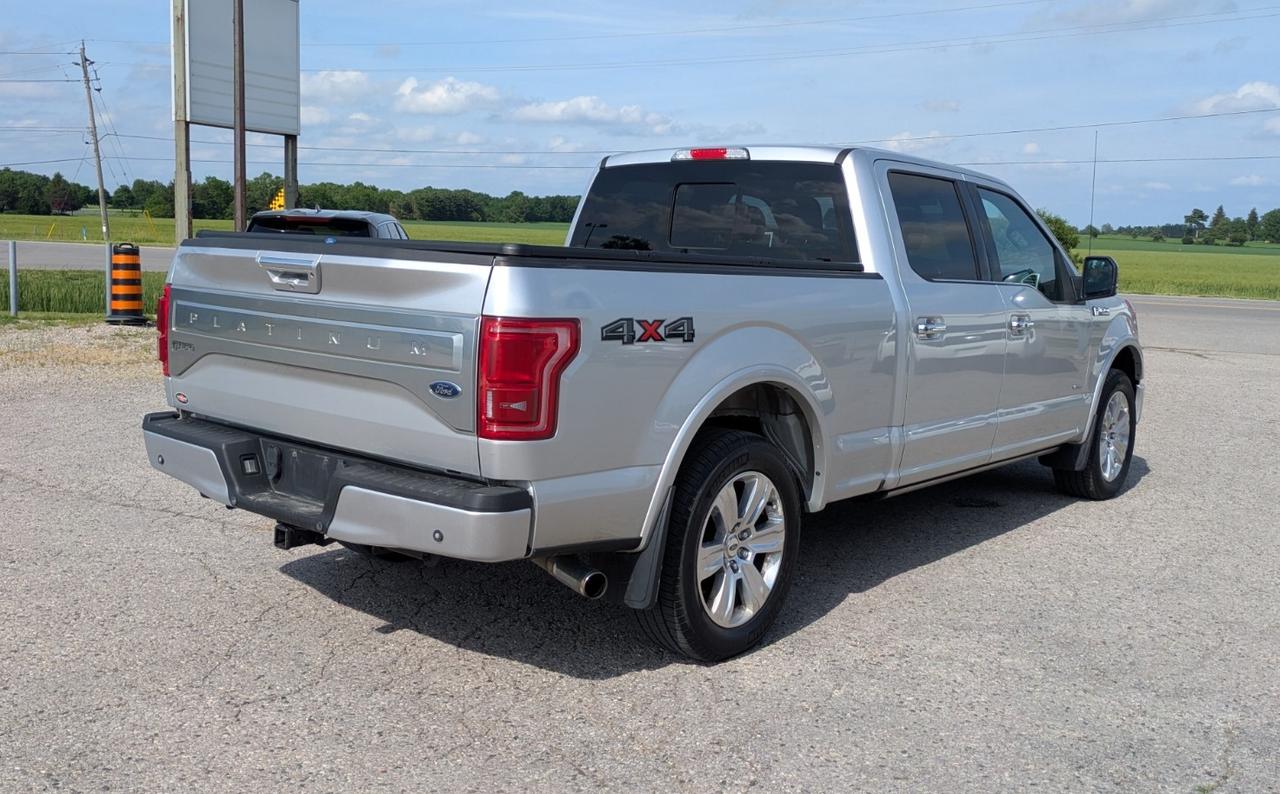 2015 Ford F-150 Platinum Photo