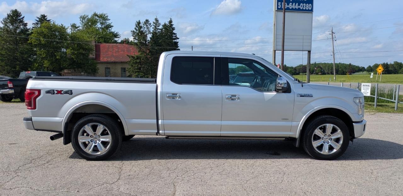 2015 Ford F-150 Platinum Photo
