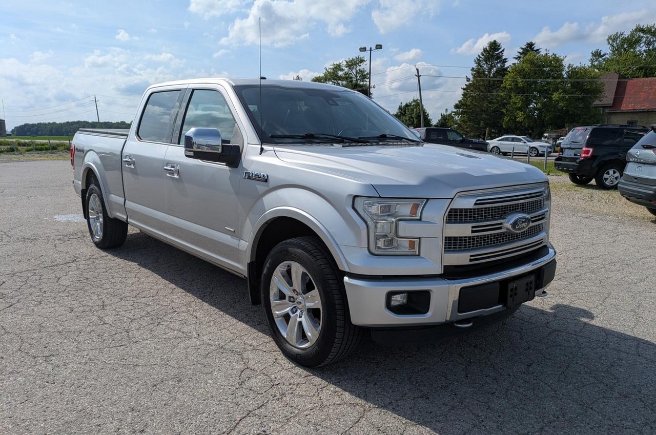 2015 Ford F-150 Platinum Photo
