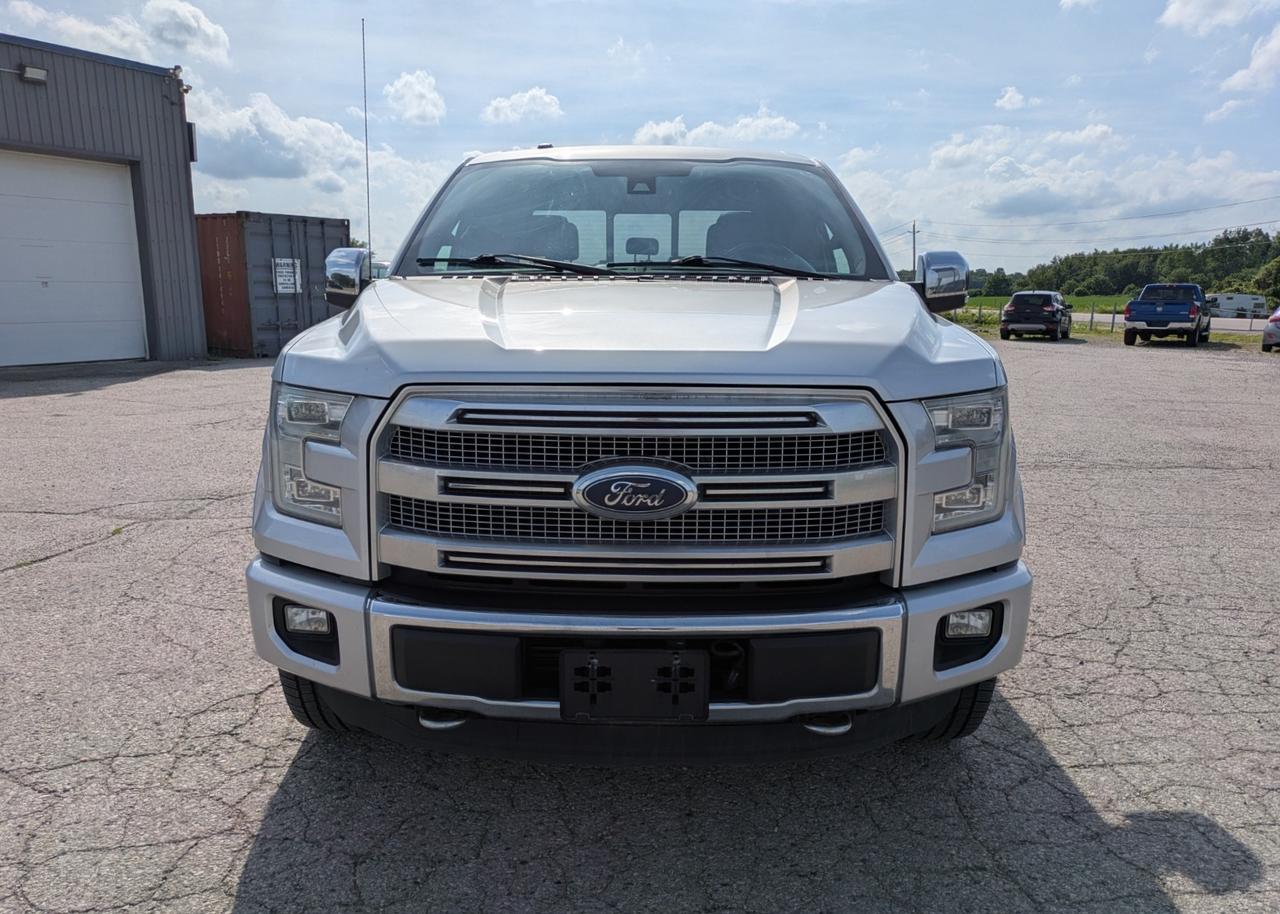 2015 Ford F-150 Platinum Photo