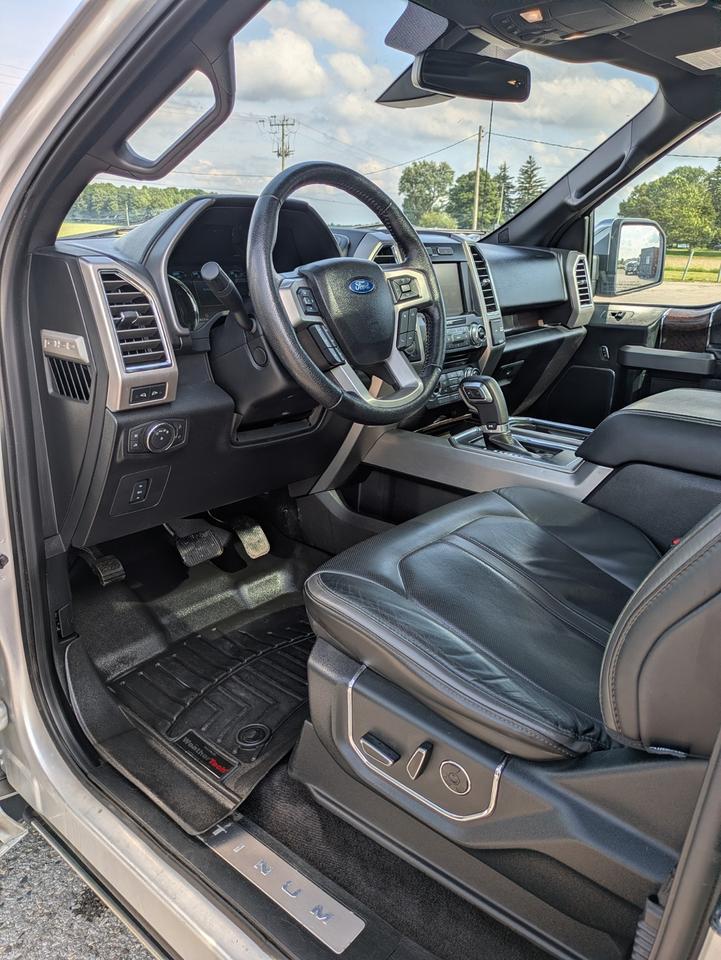 2015 Ford F-150 Platinum Photo