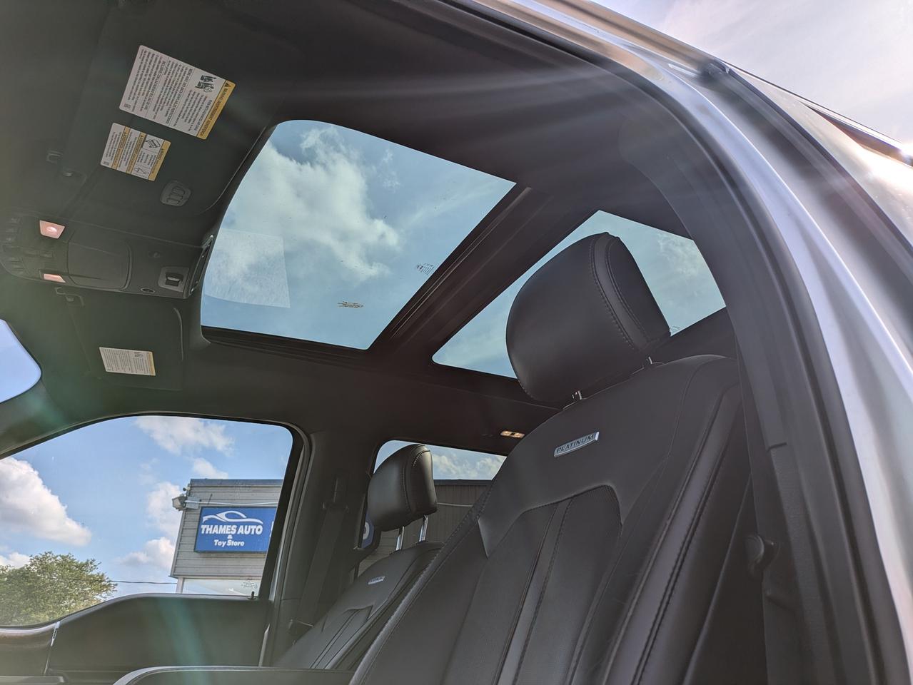 2015 Ford F-150 Platinum Photo