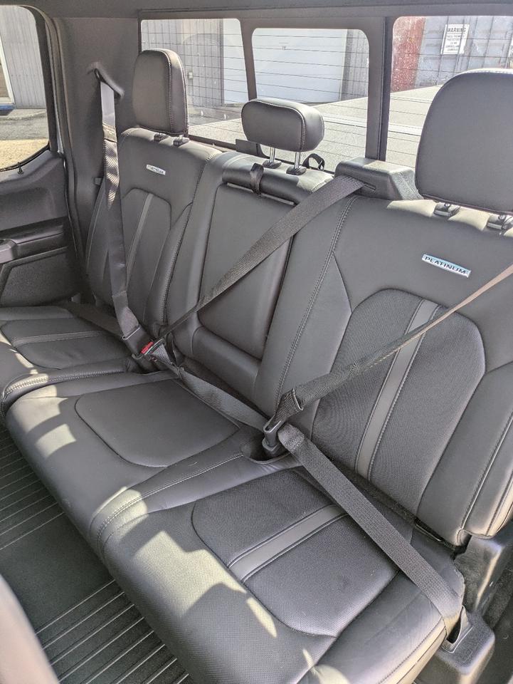2015 Ford F-150 Platinum Photo
