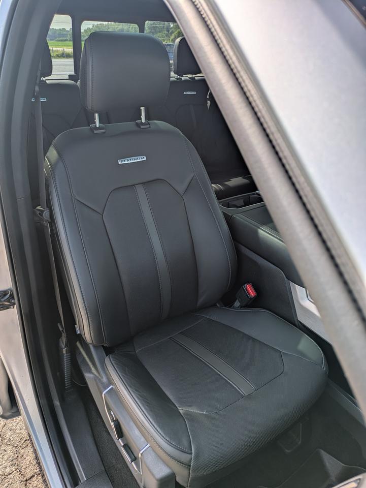 2015 Ford F-150 Platinum Photo
