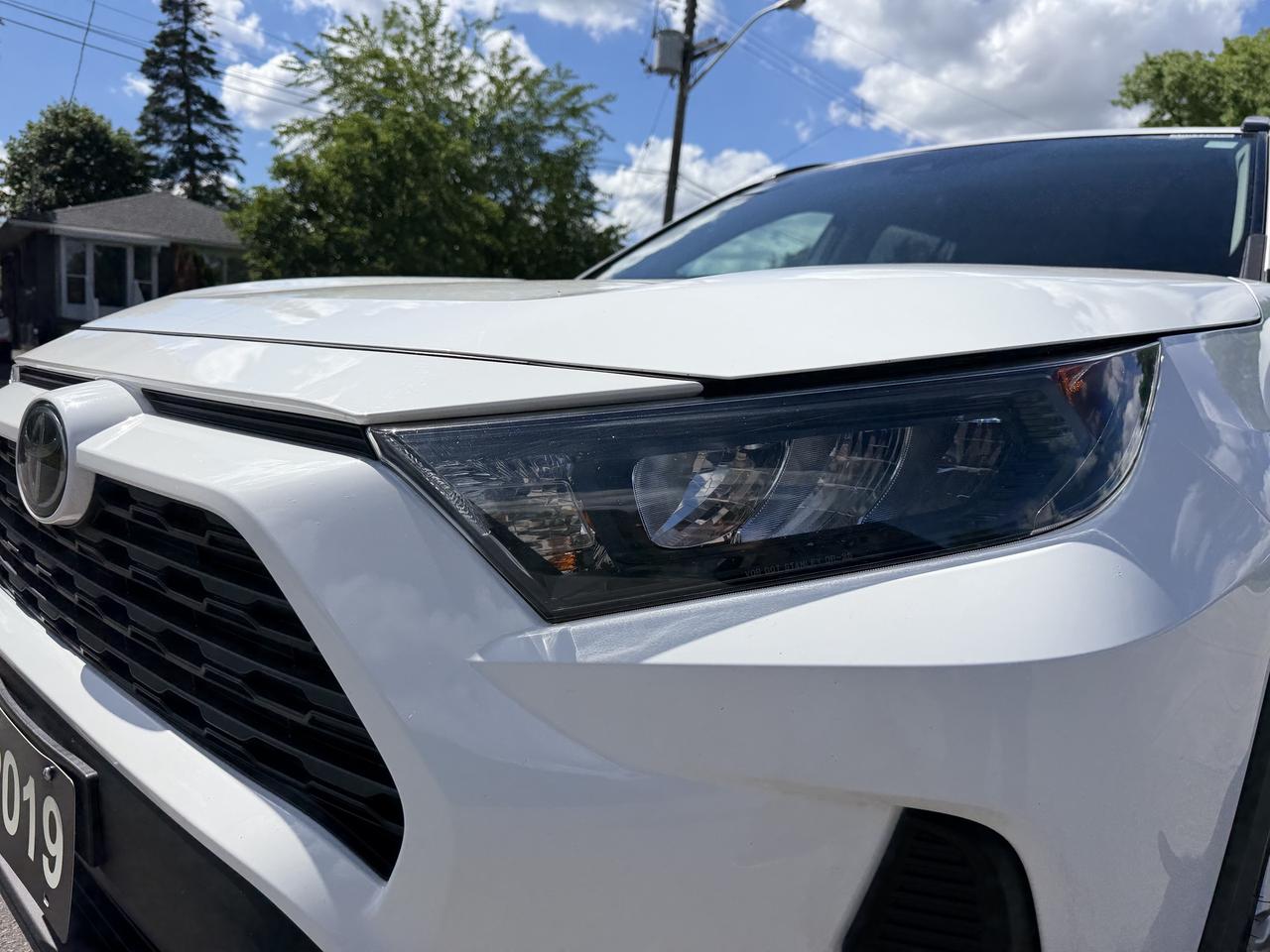 2019 Toyota RAV4 AWD LE Photo
