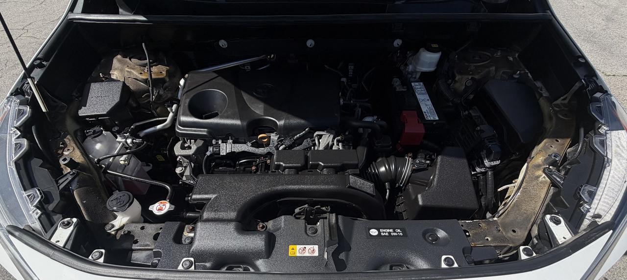 2019 Toyota RAV4 AWD LE Photo