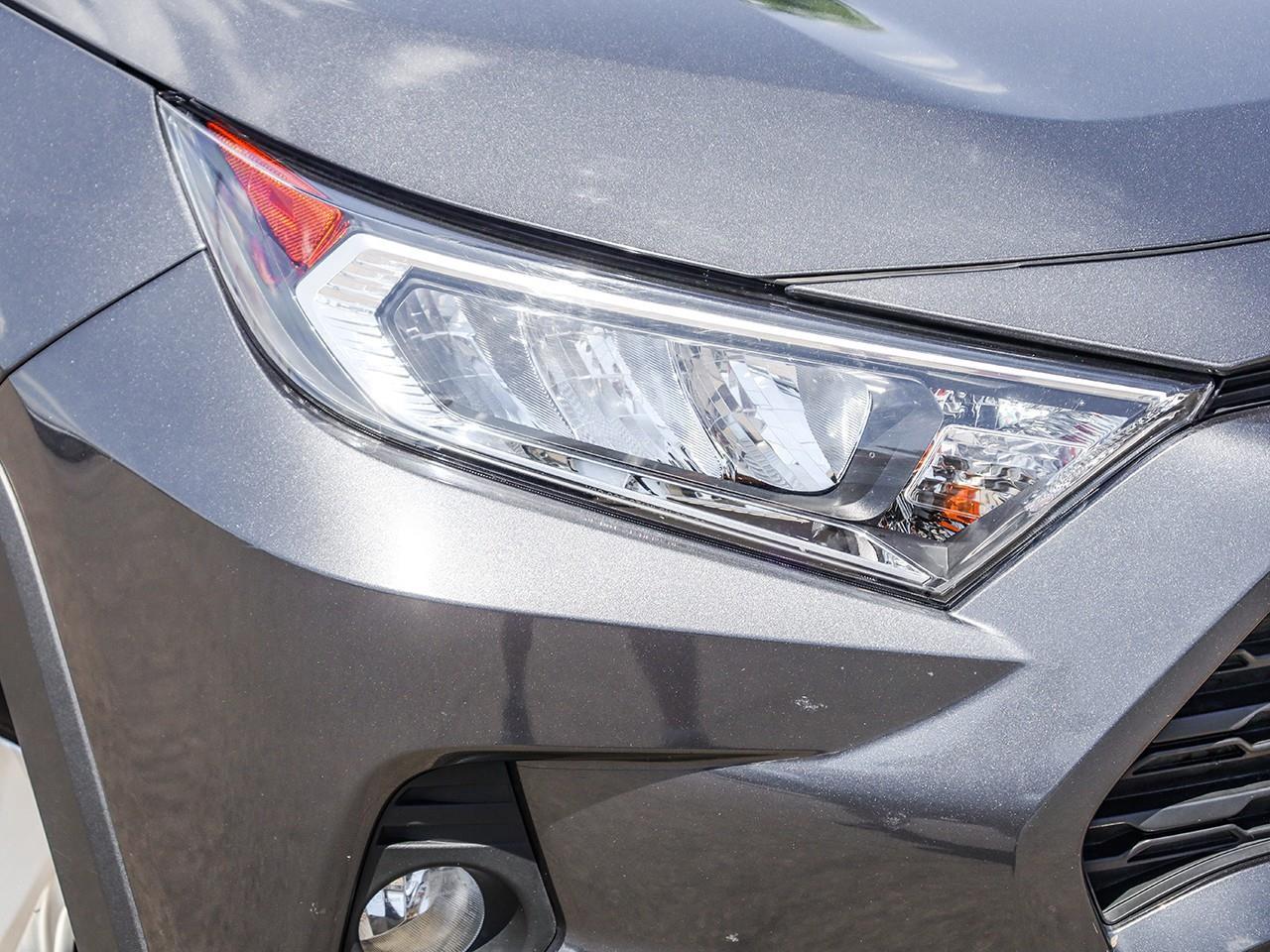 2019 Toyota RAV4 XLE Photo