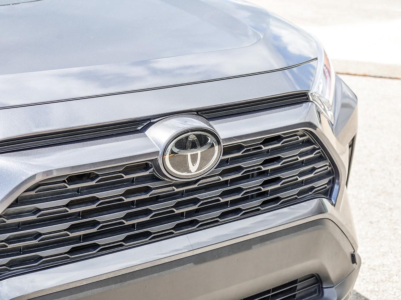 2019 Toyota RAV4 XLE Photo