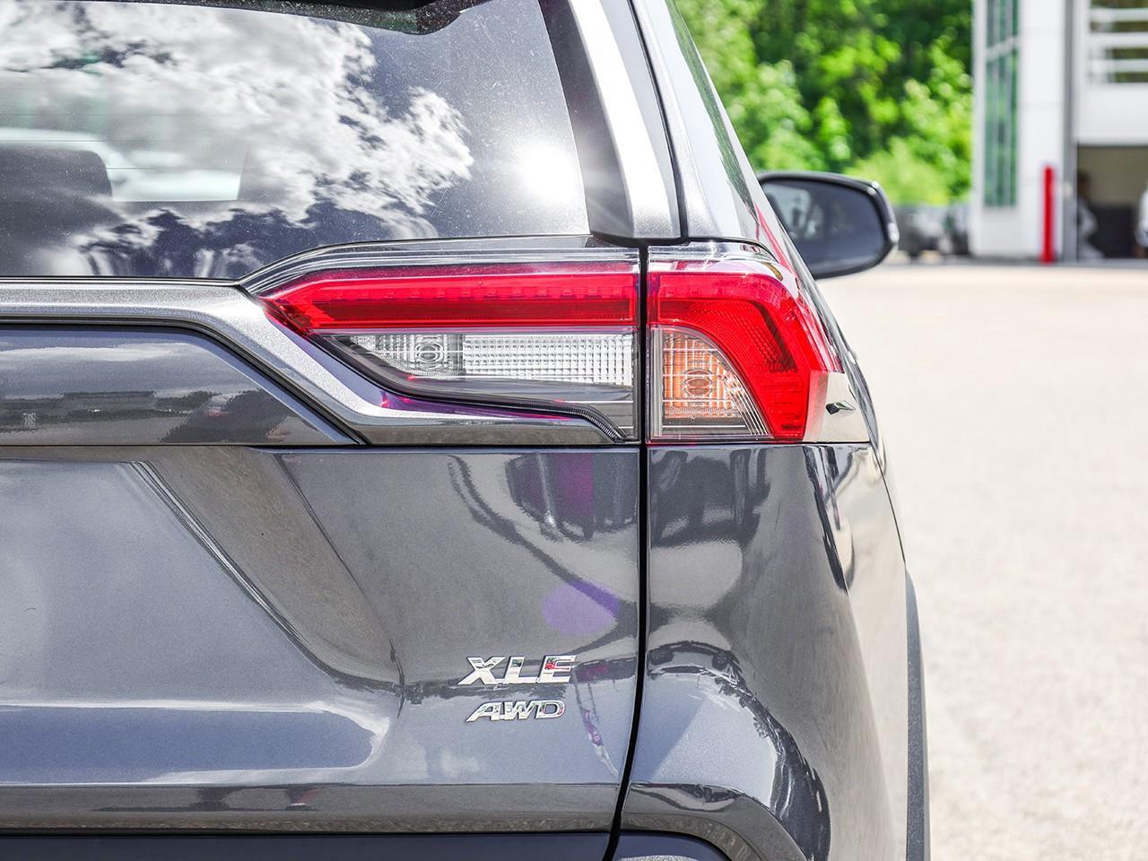 2019 Toyota RAV4 XLE Photo