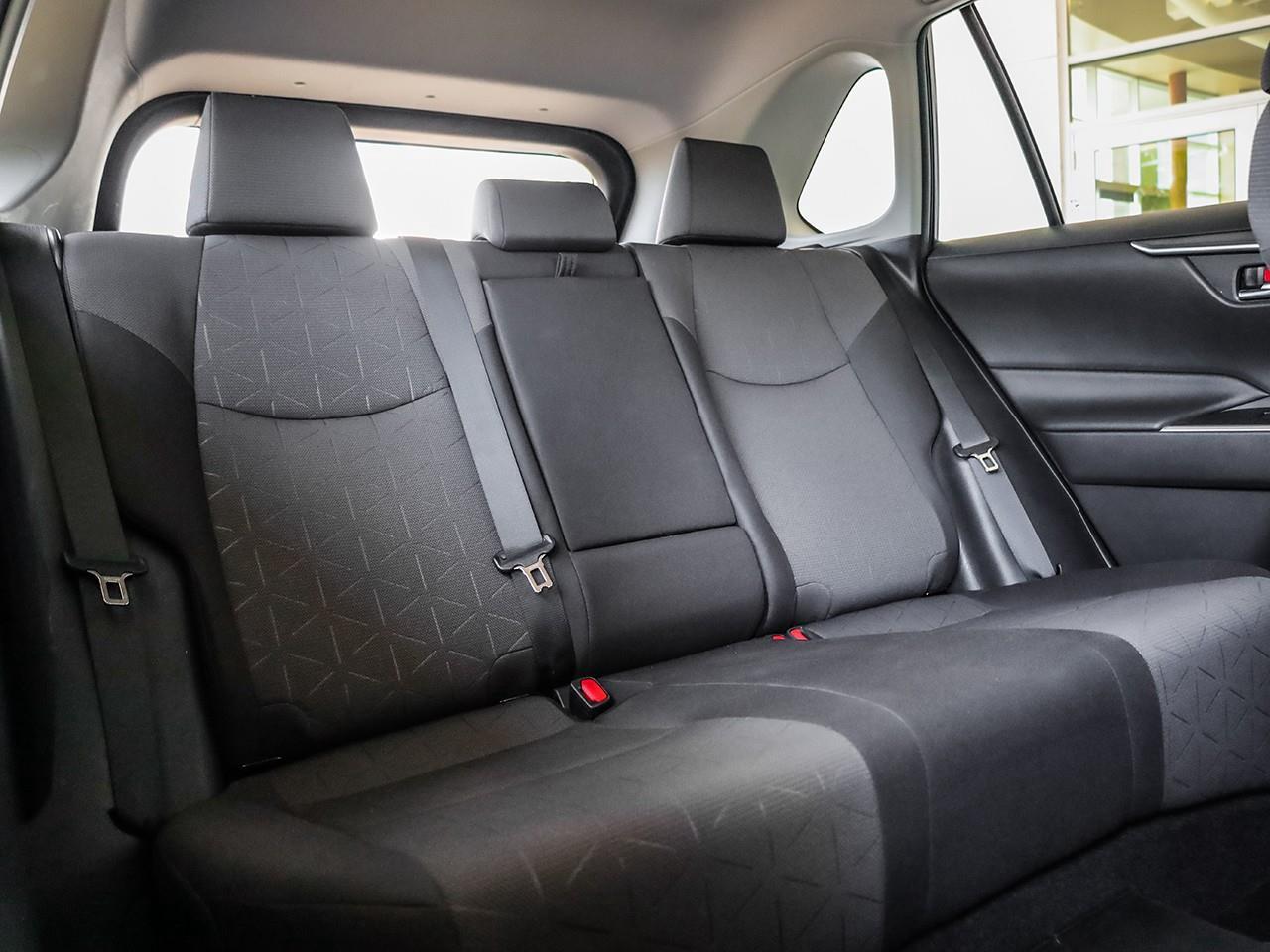 2019 Toyota RAV4 XLE Photo