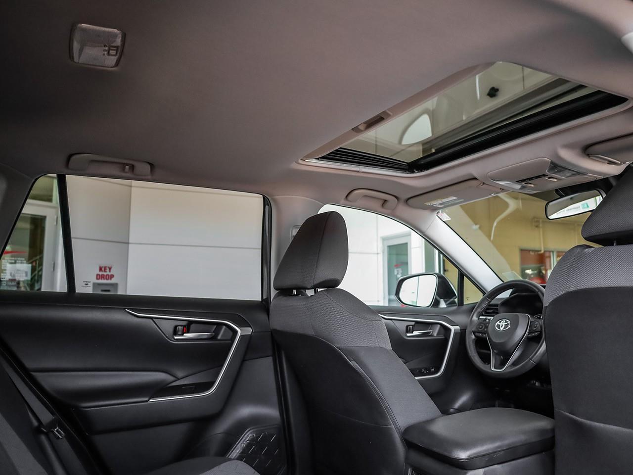 2019 Toyota RAV4 XLE Photo