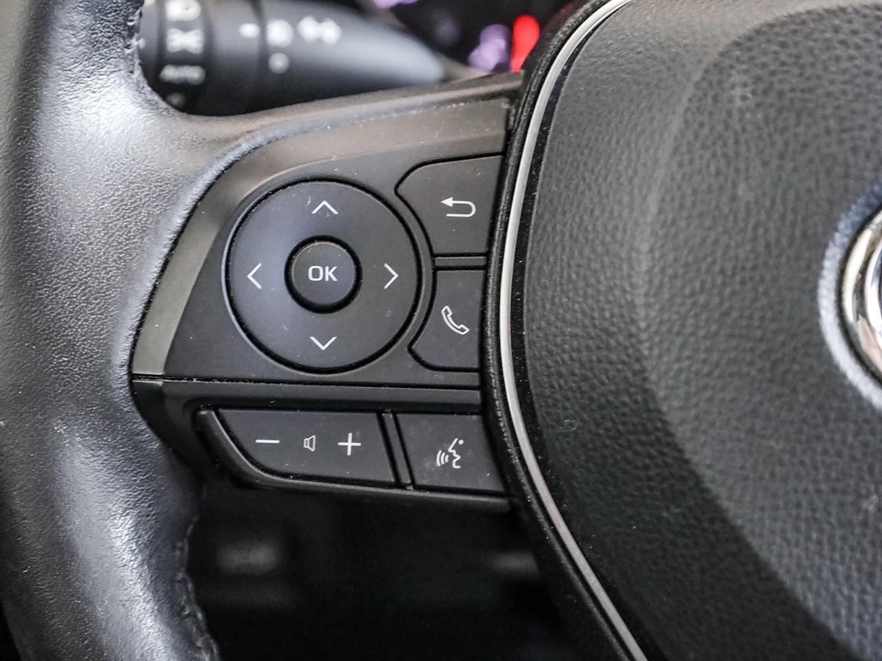 2019 Toyota RAV4 XLE Photo