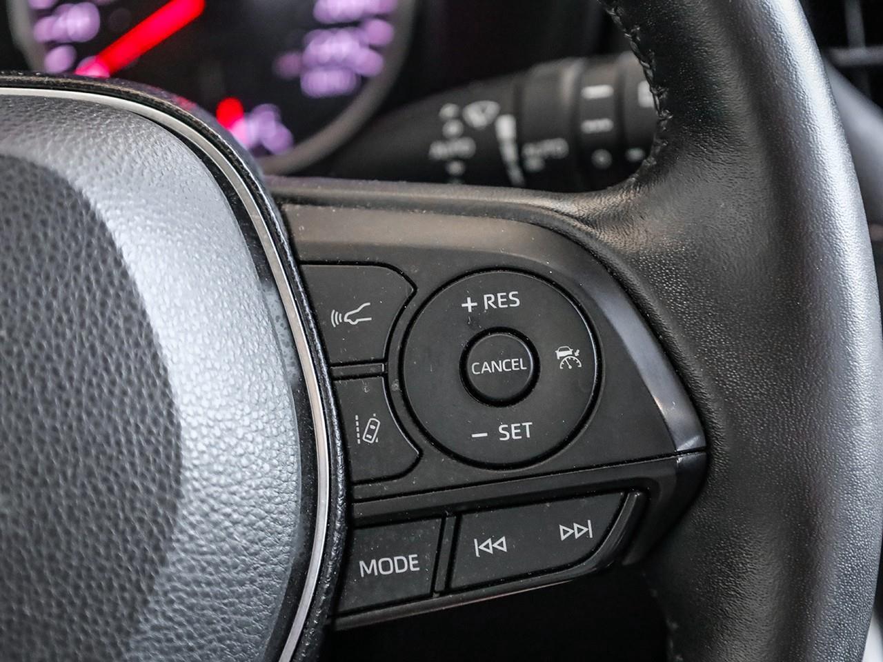 2019 Toyota RAV4 XLE Photo