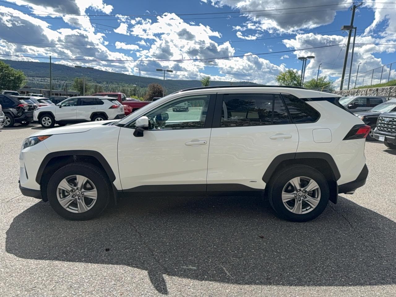 2025 Toyota RAV4 LE Photo