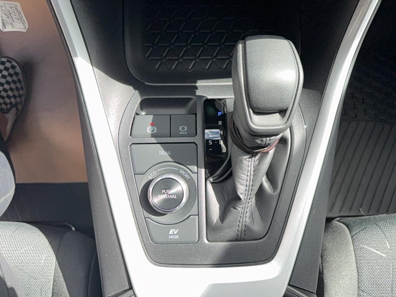 2025 Toyota RAV4 LE Photo