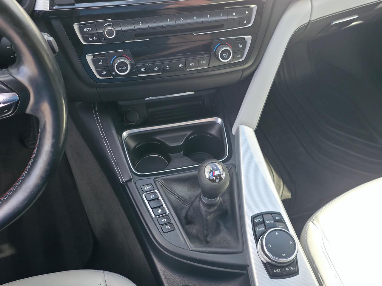 2015 BMW M4 *MANUAL S55* Photo