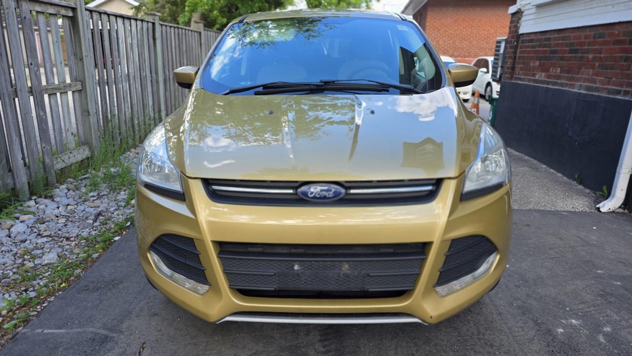2014 Ford Escape SE Photo