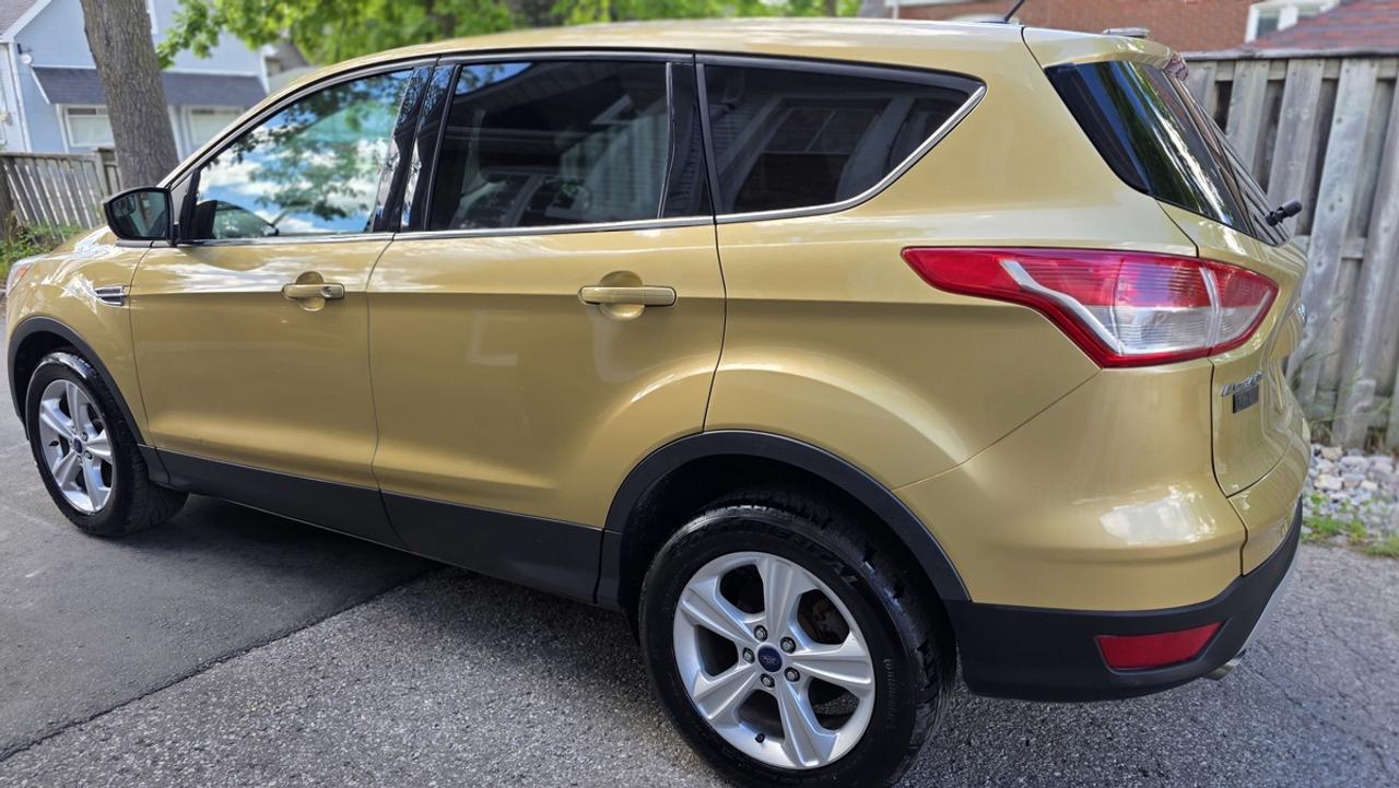 2014 Ford Escape SE Photo