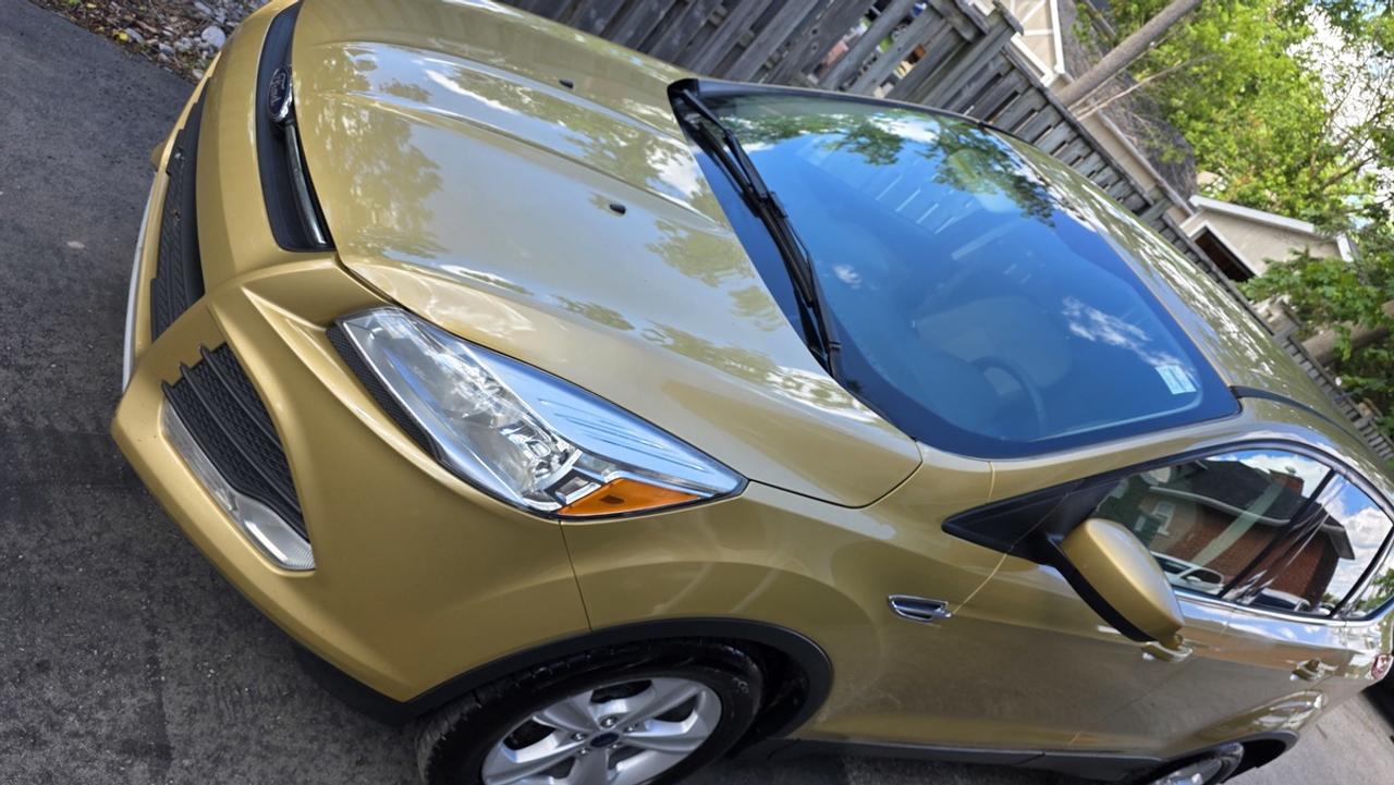 2014 Ford Escape SE Photo