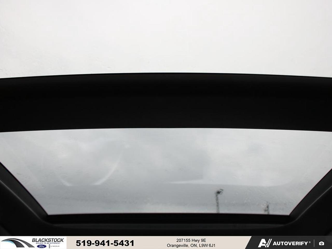 2024 Hyundai Sonata 2.5T N Line Ultimate FWD   Panoramic Sunroof   Hea Photo
