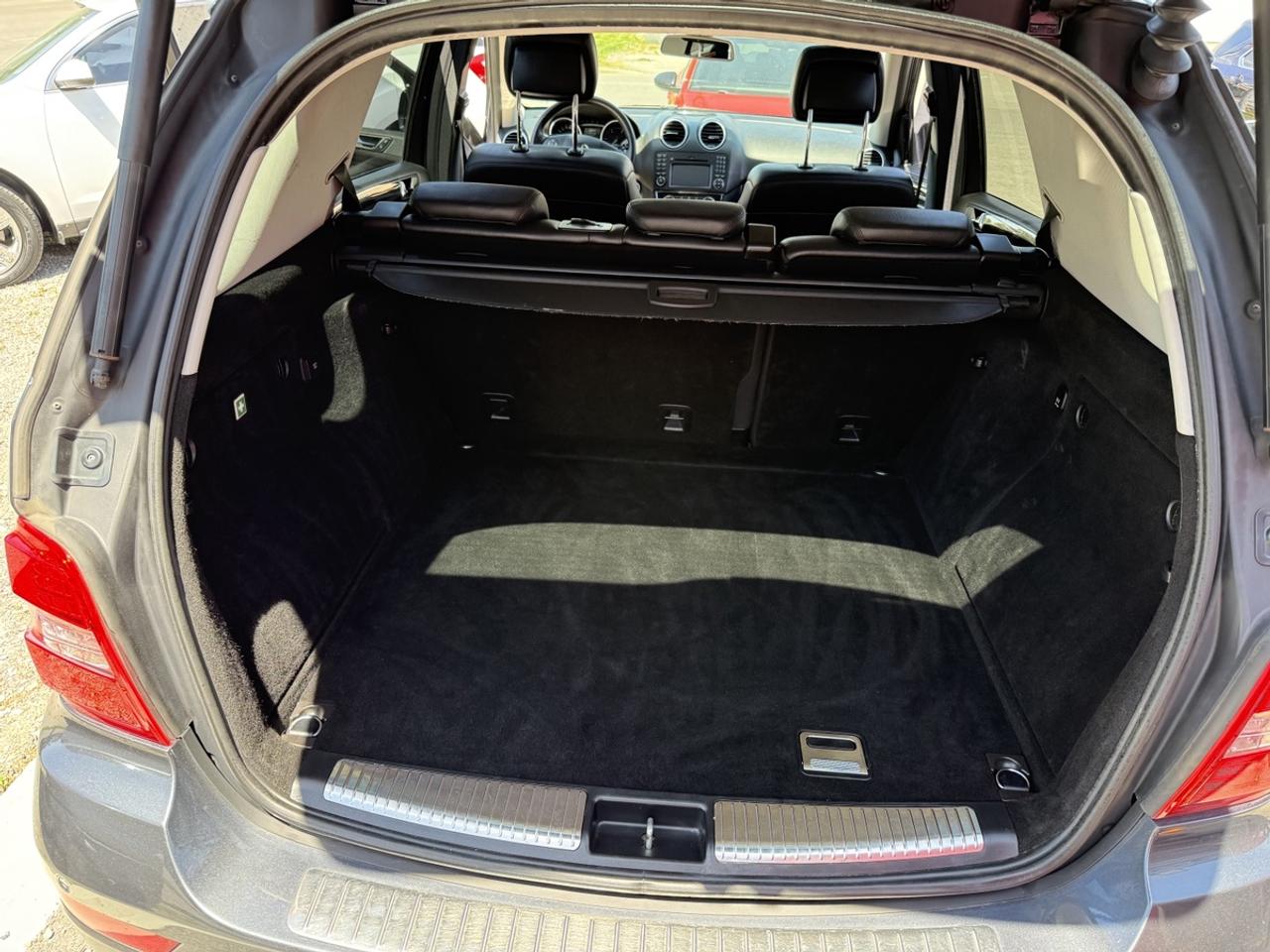 2010 Mercedes-Benz M-Class ML350 Photo