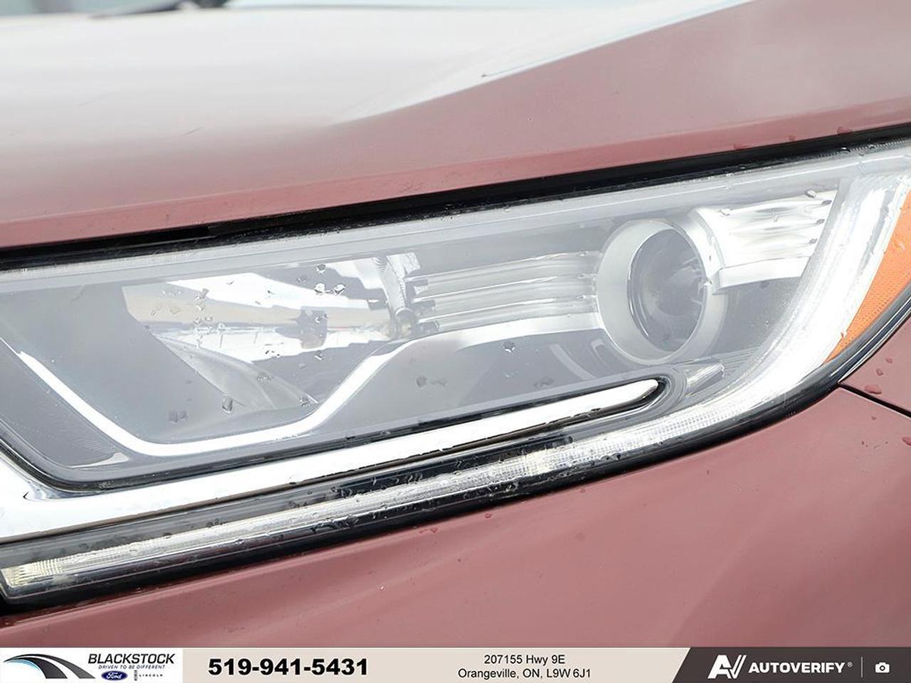 2019 Honda CR-V EX   NO ACCIDENTS   CARPLAY   BACKUP CAM   HTD SEA Photo