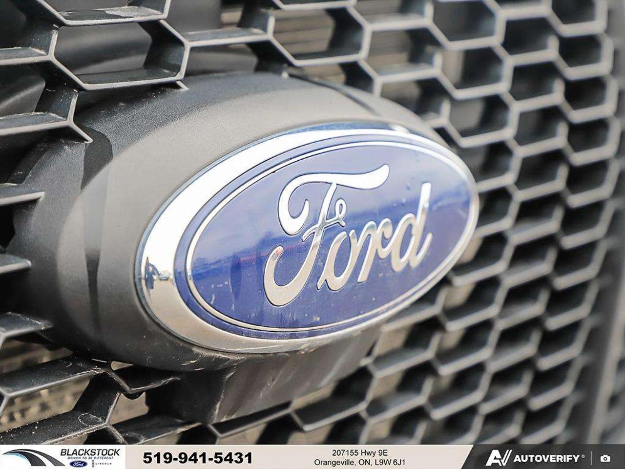2023 Ford Transit T-250   Dependable   Cargo Space   TCS   TOWING Photo