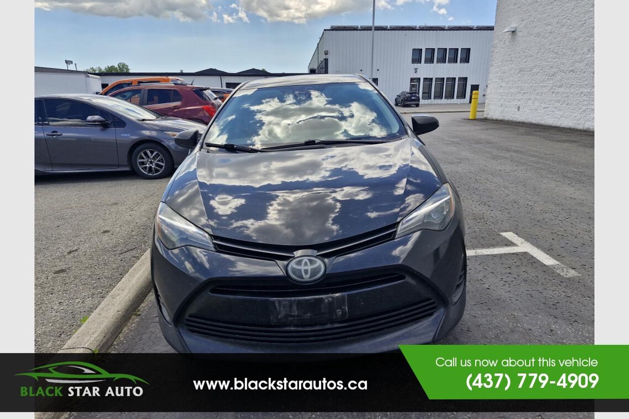 2019 Toyota Corolla LE Photo