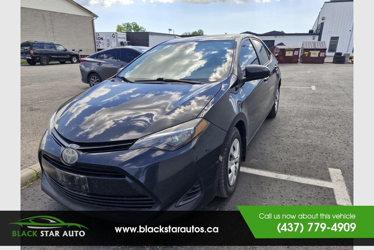 2019 Toyota Corolla LE Photo