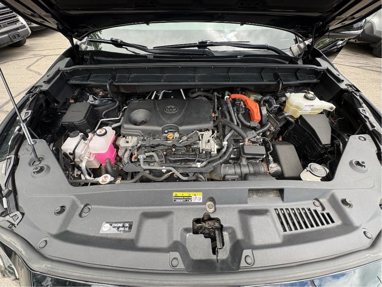 2020 Toyota Highlander Hybrid LIMITED Photo
