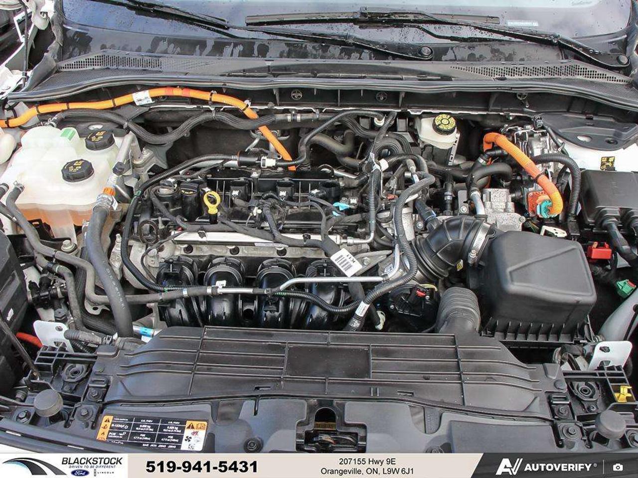 2022 Ford Escape Titanium Hybrid   ONE OWNER   NO ACCIDENTS Photo