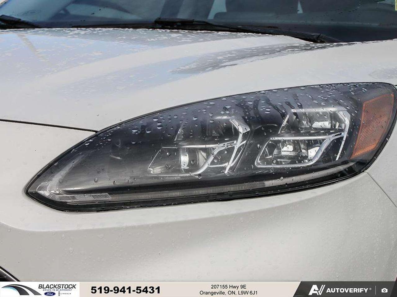 2022 Ford Escape Titanium Hybrid   ONE OWNER   NO ACCIDENTS Photo