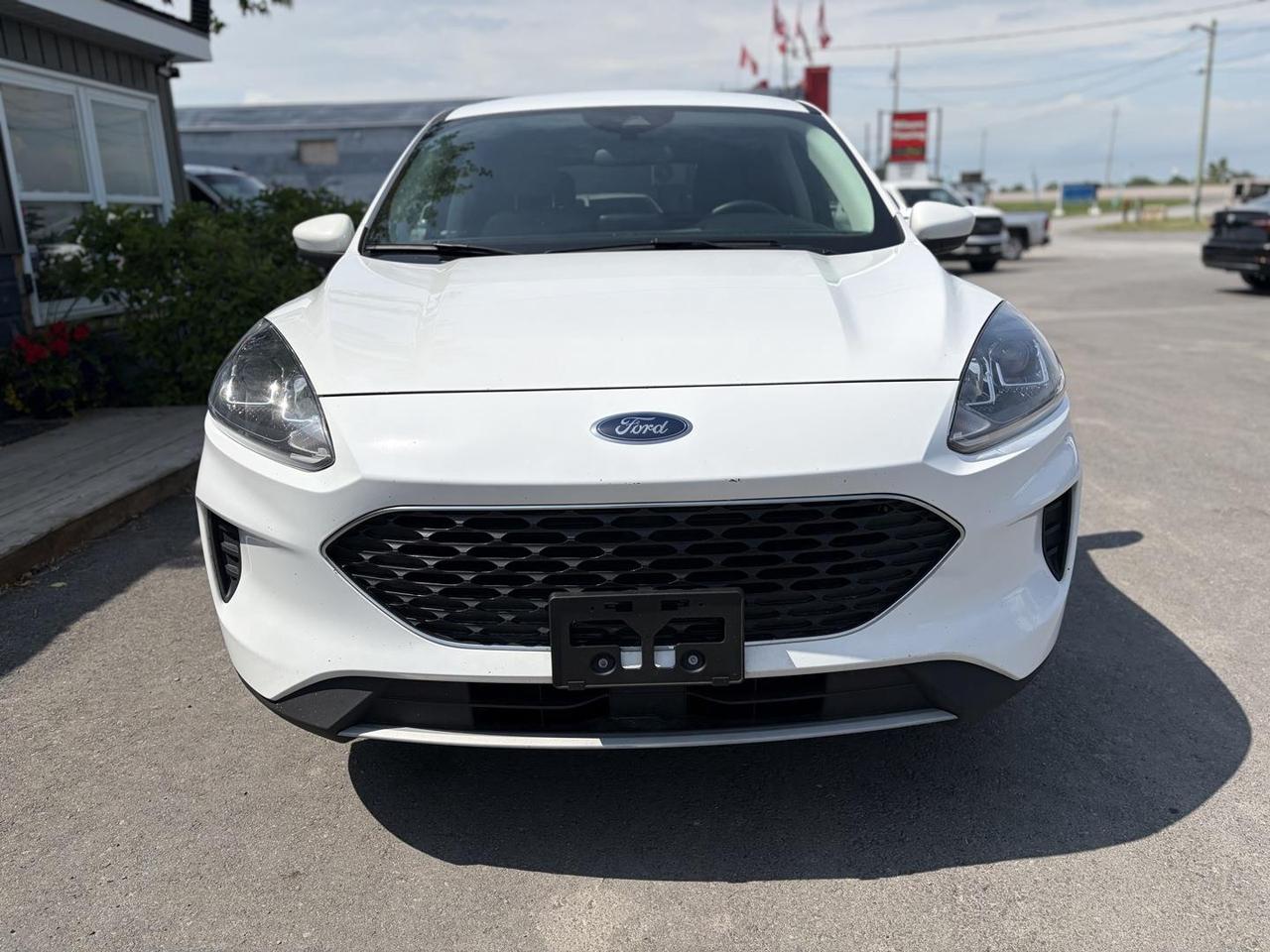 2021 Ford Escape SE 4dr Front-wheel Drive Photo