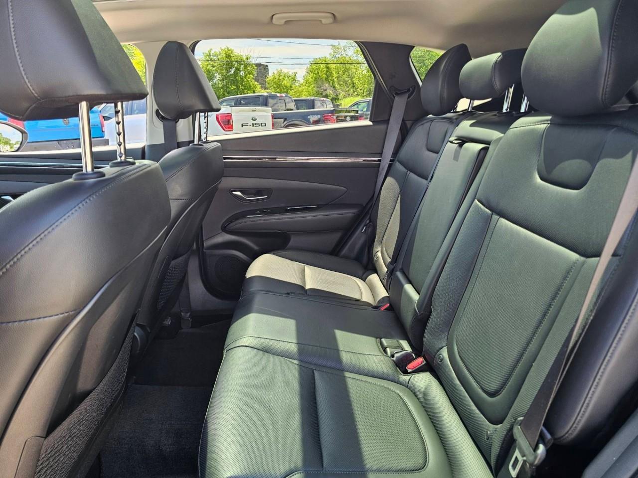 2024 Hyundai Tucson Hybrid Ultimate 4dr All-Wheel Drive Photo