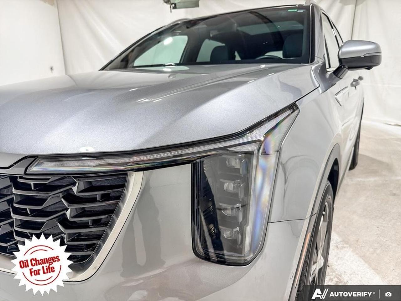 2025 Kia Sorento Hybrid SX AWD Photo