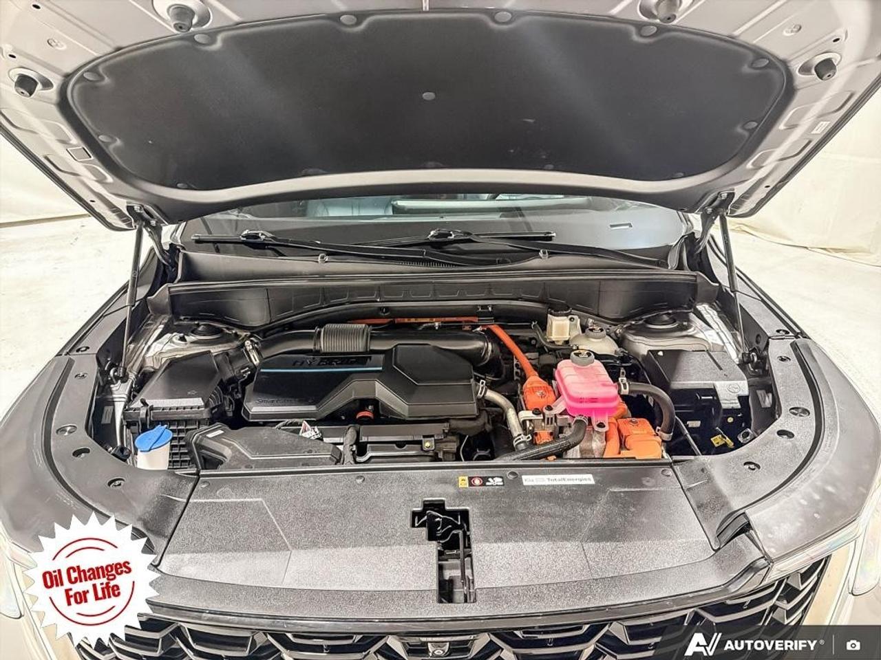 2025 Kia Sorento Hybrid SX AWD Photo