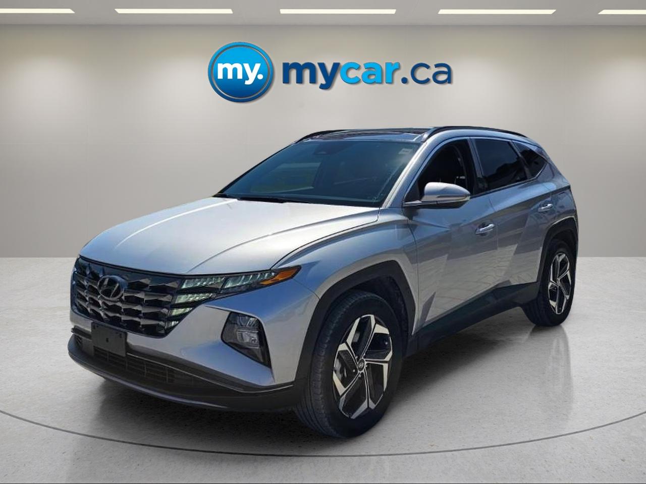 2024 Hyundai Tucson Hybrid  Photo