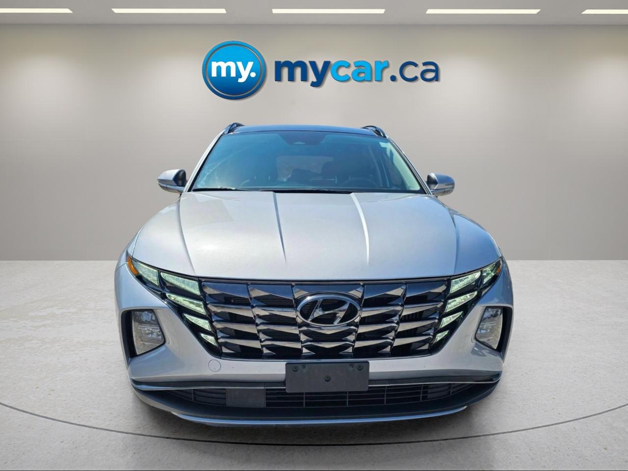 2024 Hyundai Tucson Hybrid  Photo