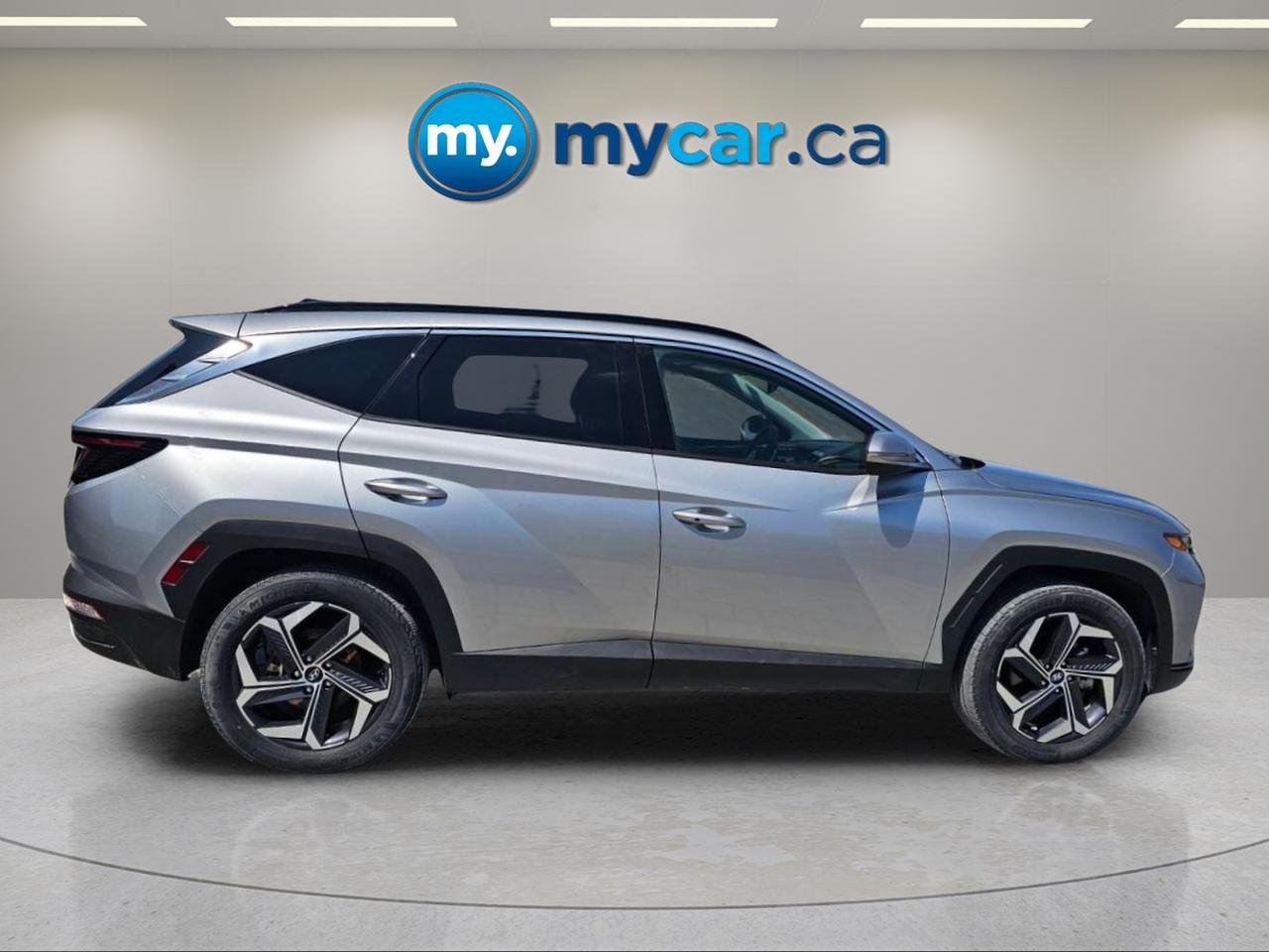 2024 Hyundai Tucson Hybrid  Photo