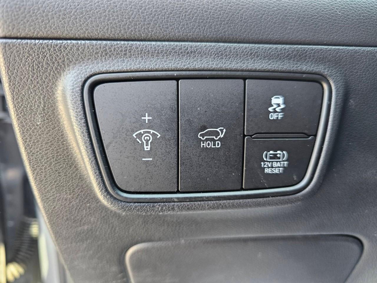2024 Hyundai Tucson Hybrid  Photo