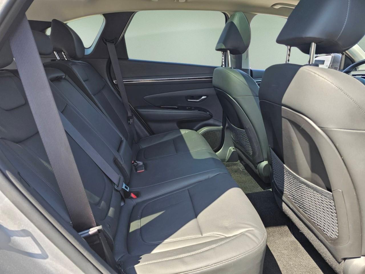 2024 Hyundai Tucson Hybrid  Photo