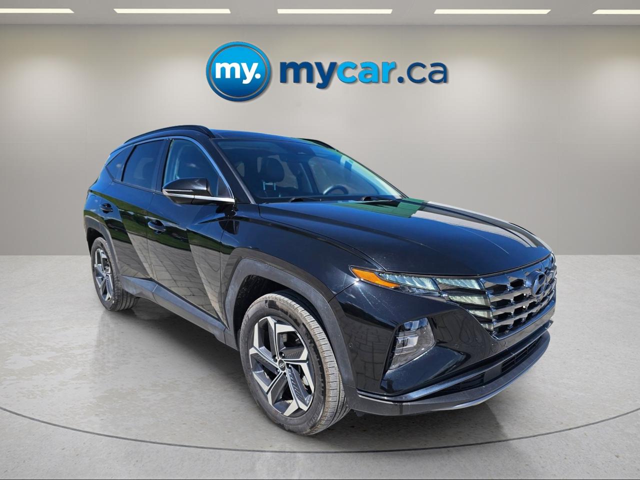 2024 Hyundai Tucson Plug-In Hybrid Ultimate 4dr All-Wheel Drive Photo