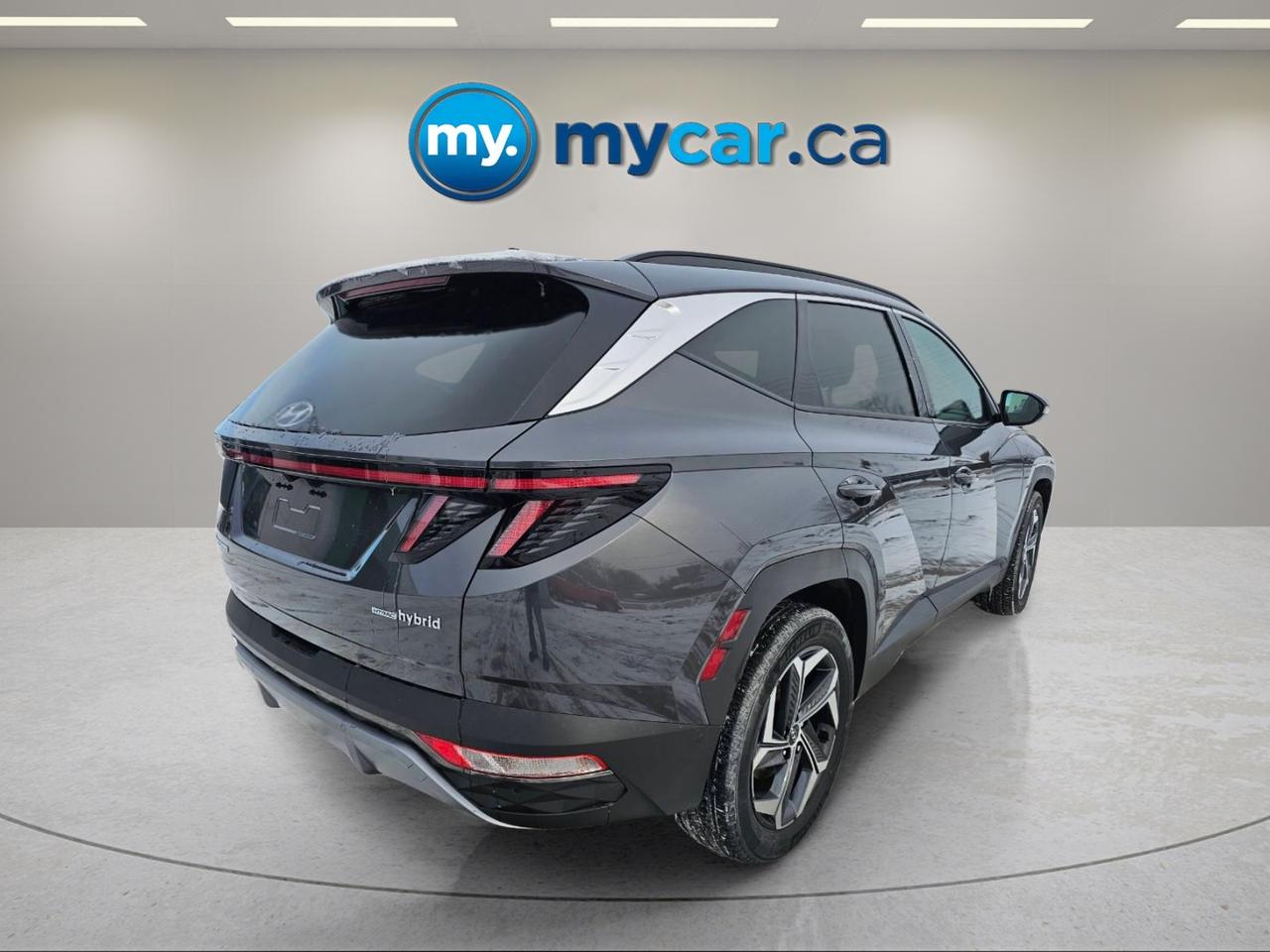 2022 Hyundai Tucson Hybrid  Photo