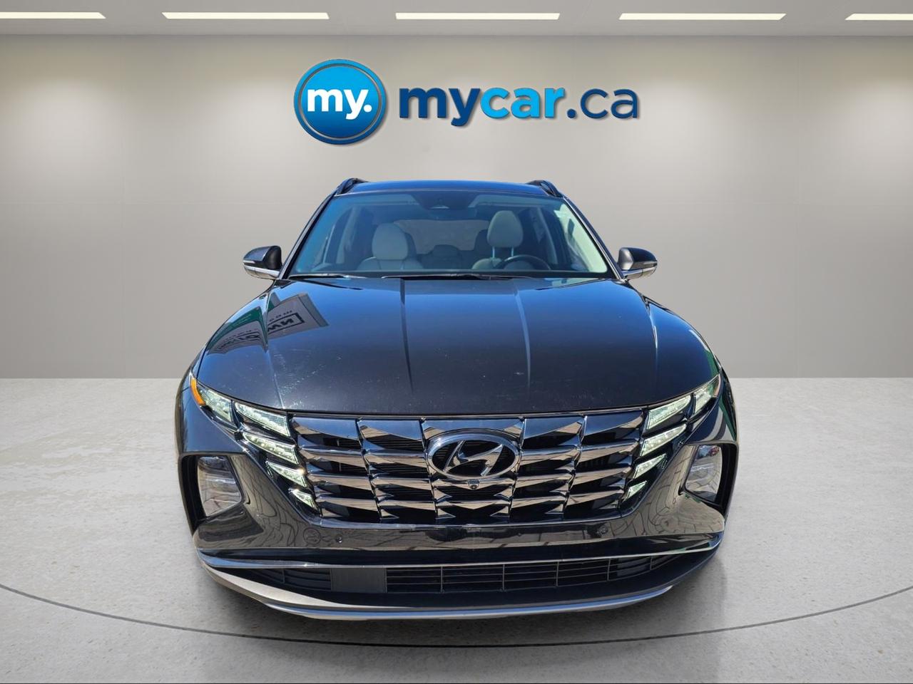 2024 Hyundai Tucson Hybrid  Photo