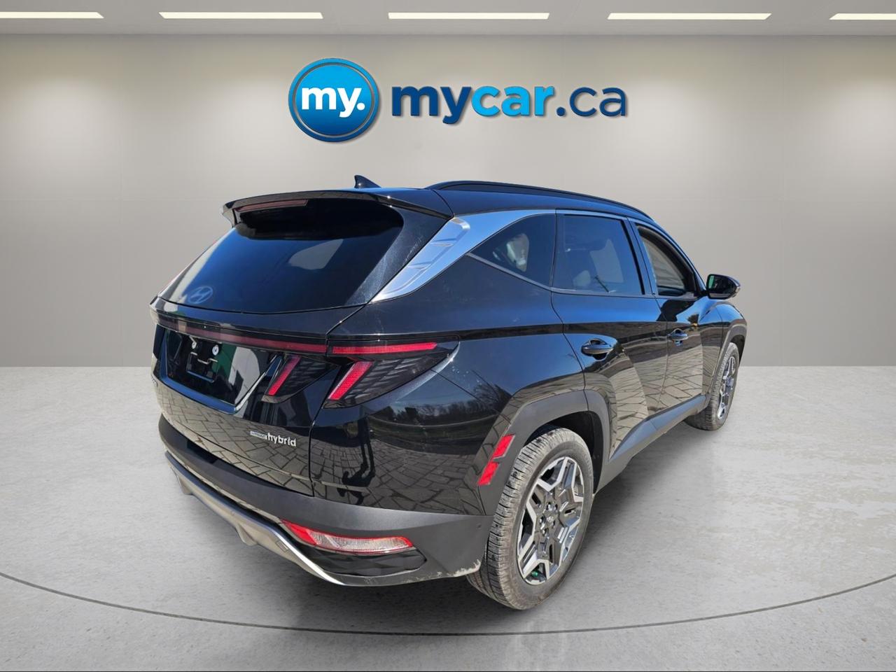 2024 Hyundai Tucson Hybrid  Photo