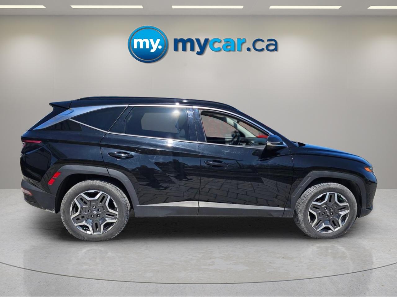 2024 Hyundai Tucson Hybrid  Photo